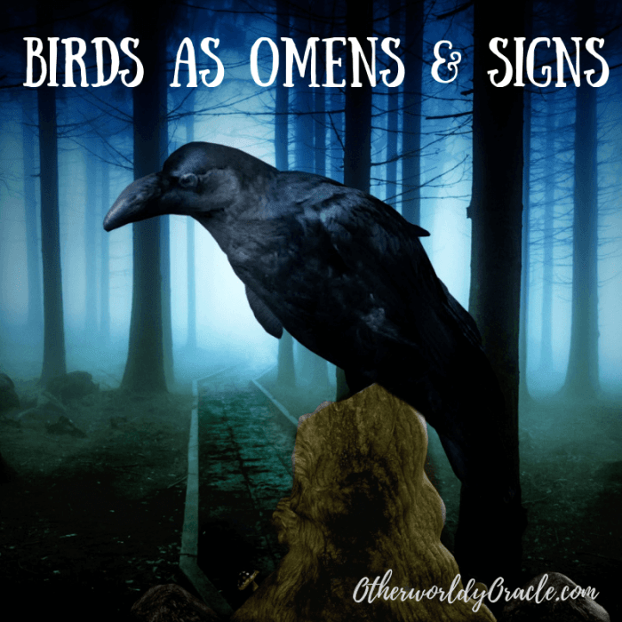 Birds and Ghost Folklore: Messages from Beyond