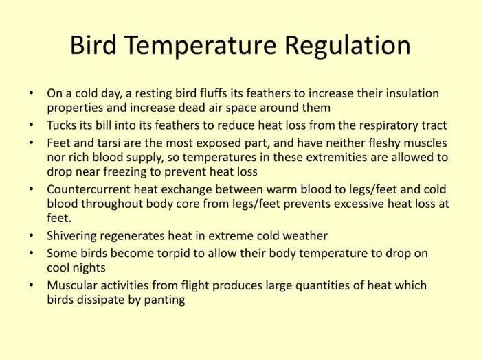 Birds and Temperature: A Springtime Change