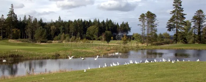 Birds and Golf: A Springtime Sport