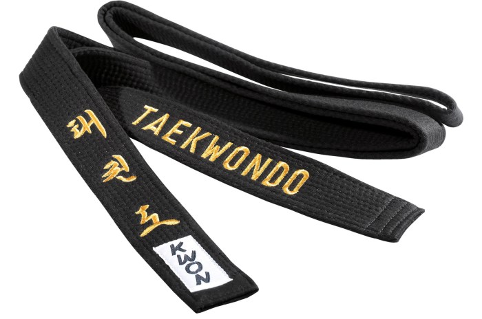 Taekwondo belts black