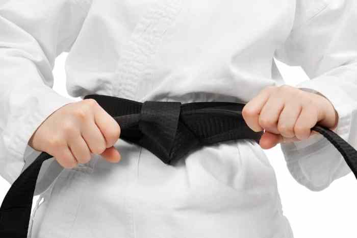 Taekwondo belts black