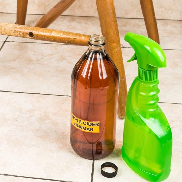 The use of vinegar to deter ants