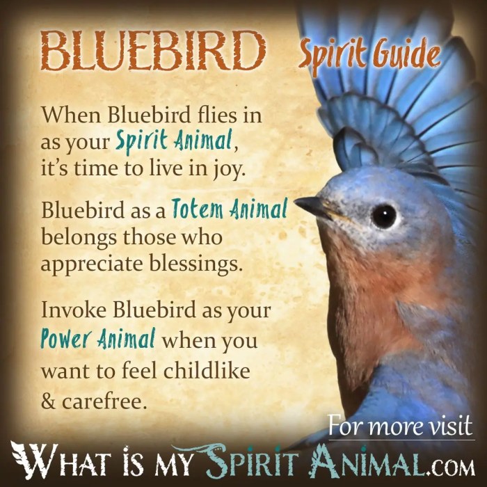 The Spiritual Significance of Birds in Spring