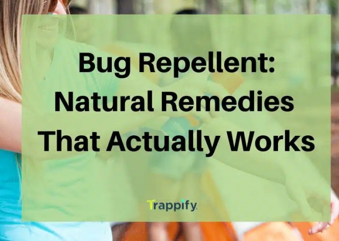 The role of folklore in natural bug repellent remedies