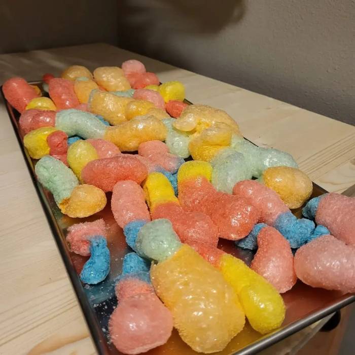 Building a DIY Freeze Dryer for Candy