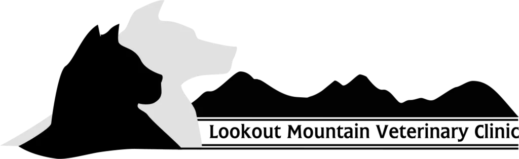 Lookout mountain vet