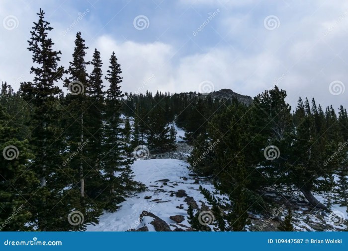 Chief mountain trailhead evergreen trail colorado