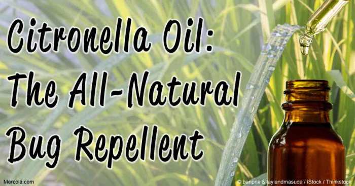 Citronella oil benefits essential amazing