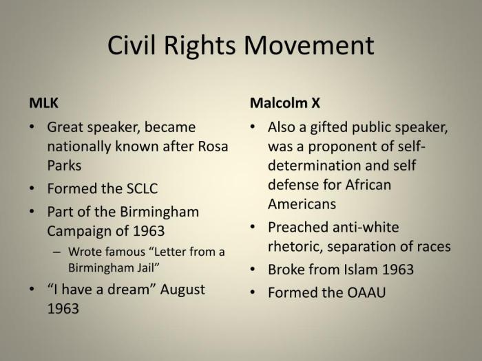 Malcolm struggle rights means civil necessary any speech freedom activist controversial history 1963