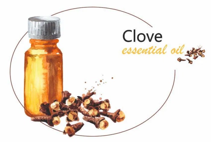 Clove oil acne essential benefits fighting naturally use