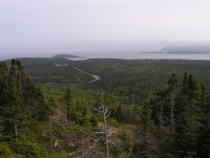 Cove mountain trail trailhead