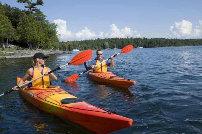 Birds and Kayaking: A Springtime Paddling