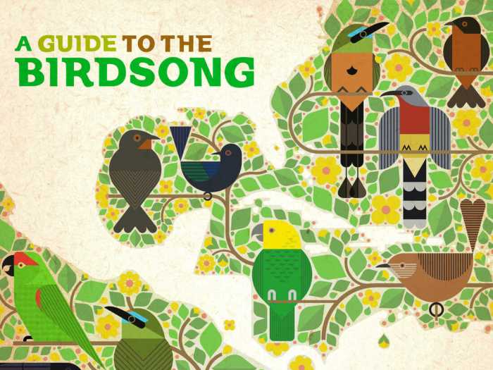 Birdsong in Electronic Music: A Springtime Beat