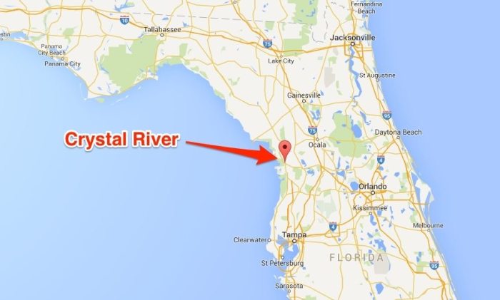 Crystal river florida map