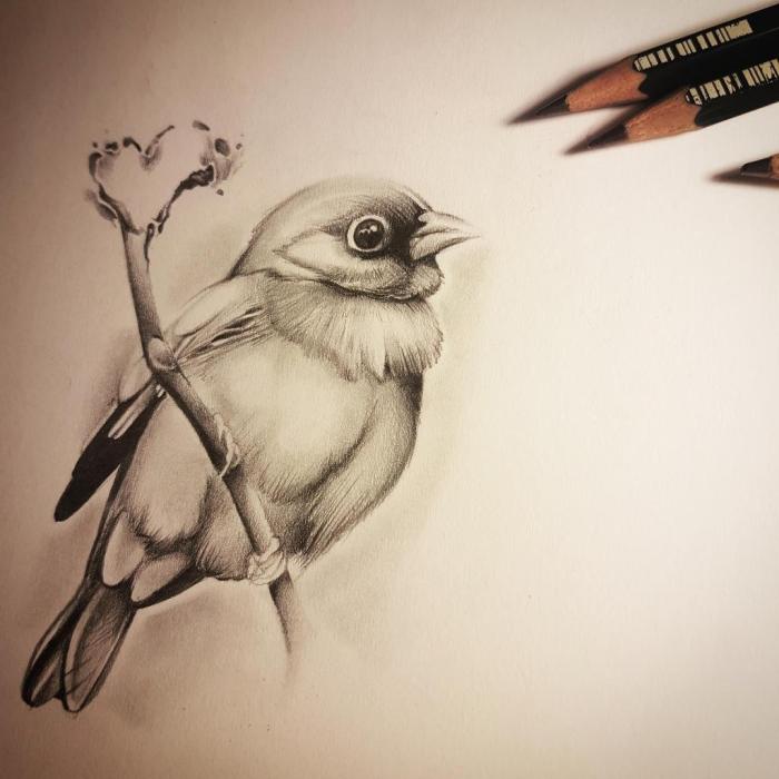 Birds in Drawing: A Springtime Sketch