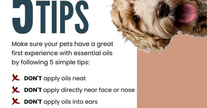 The use of essential oils in pet bedding for bug control