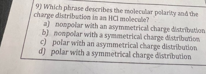 Fermentation lactic acid compare contrast ethanol alcohol types move both phrase each appropriate describes if category classify lactate anaerobic yeast