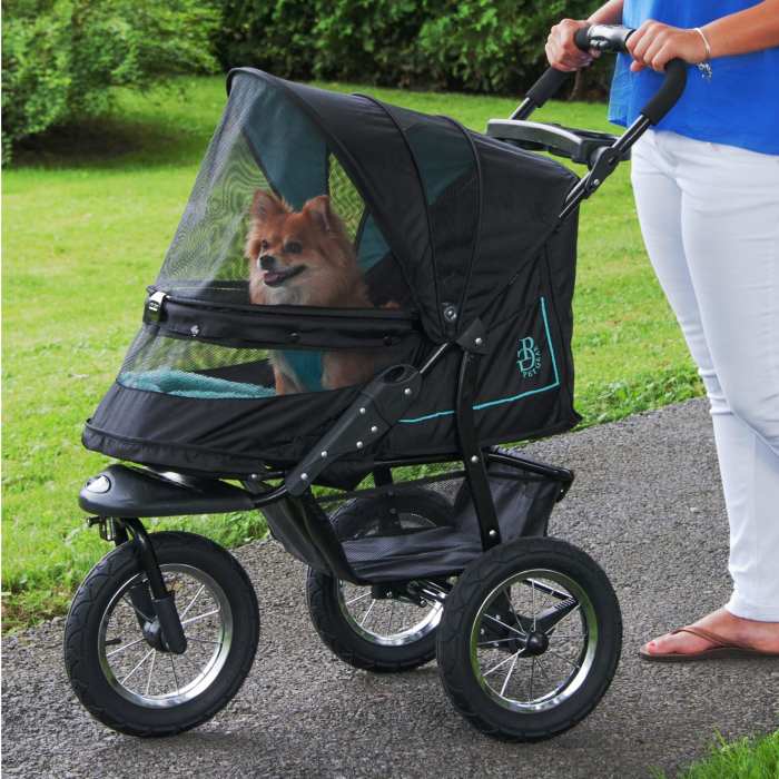 Dog carrier with wheels