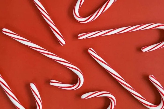 Freeze Dried Candy vs. Candy Cane: A Holiday Classic