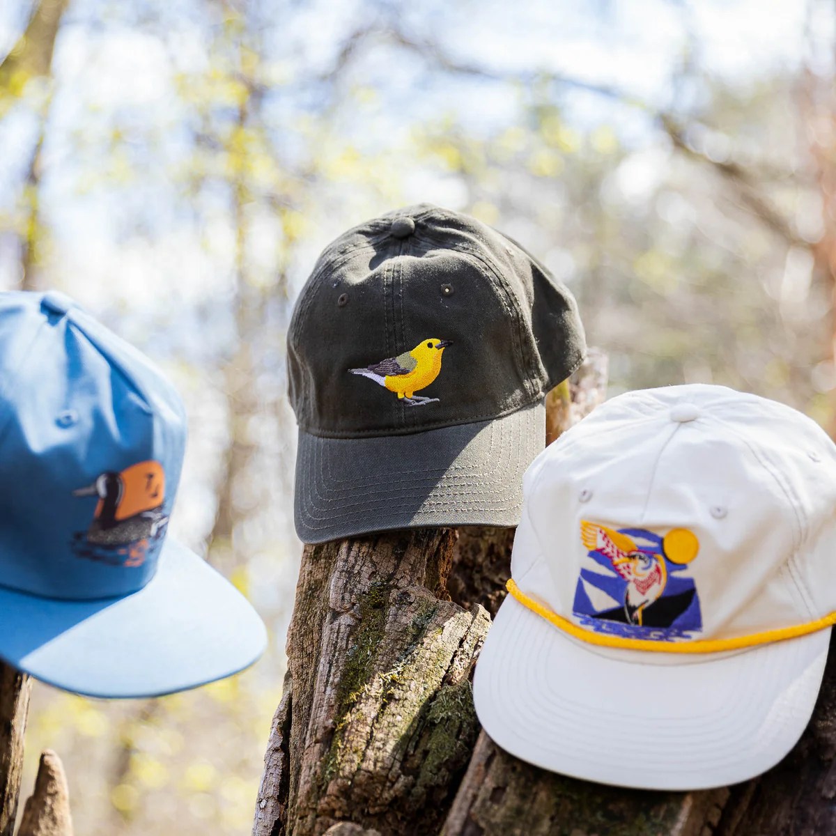 Bird Hats: A Springtime Headwear