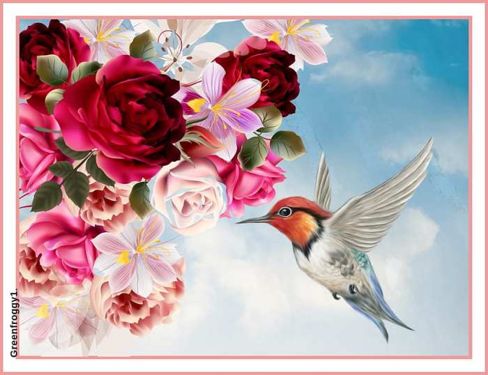 Illustration romantic roses bird cute stock