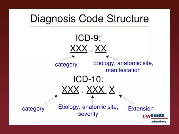 Diagnostic Codes: Understanding and Interpreting