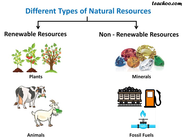 The sustainability of natural ingredients