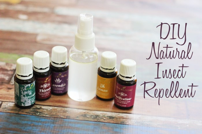 Repellent recipes for indoor use