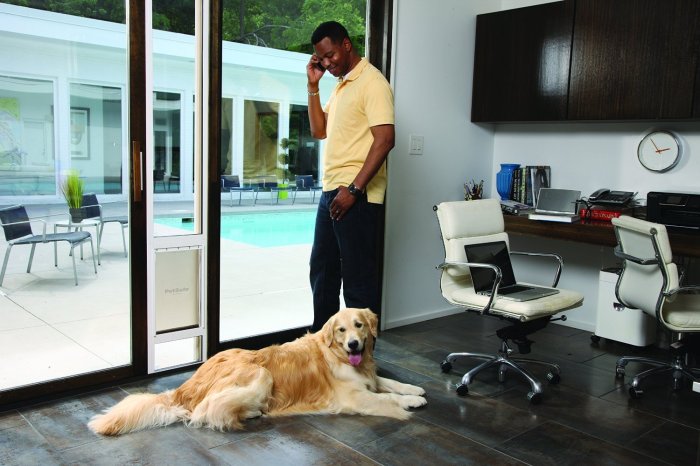 Sliding door with dog door built in