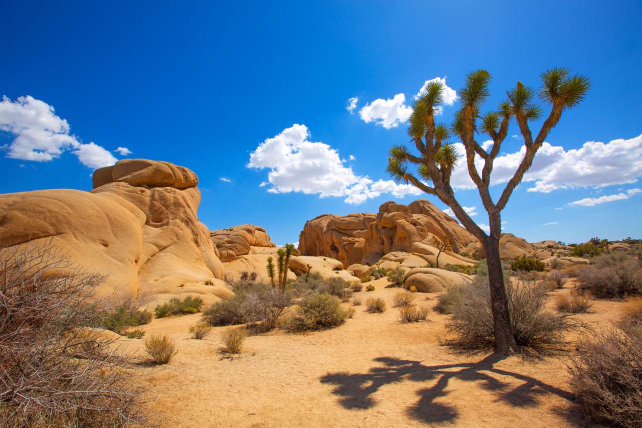 Desert mountain scottsdale arizona storybook life