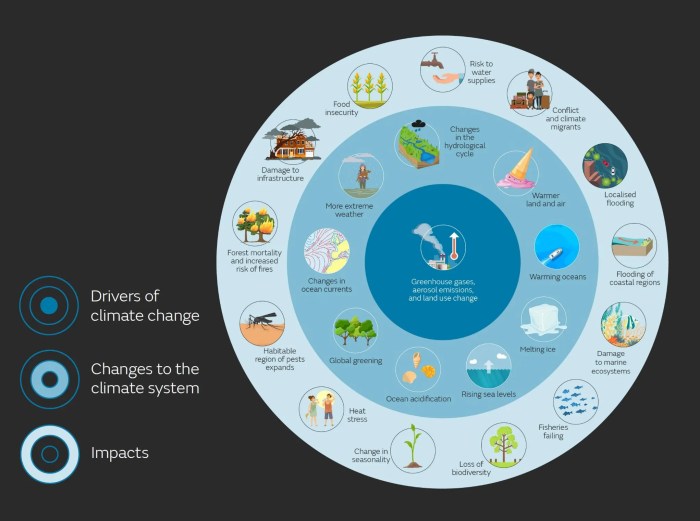 Environmental Impact and Sustainability