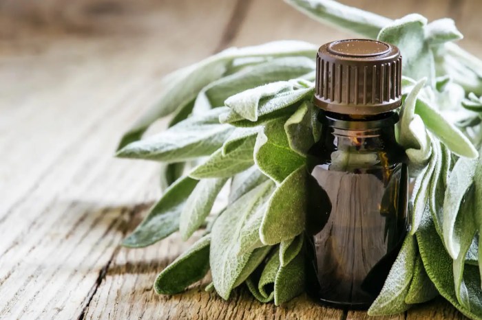 Sage oil clary benefits essential anxiety stress