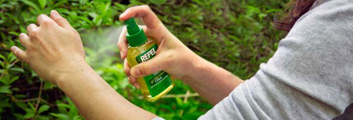 Natural insect repellents