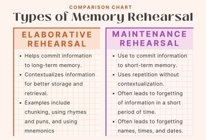 Mini Exams for Quiz Elaborative Encoding Tools