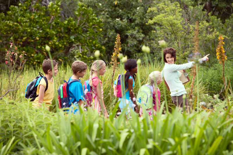 Bird Education for Environmental Literacy: A Springtime Learning