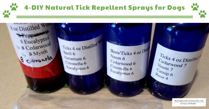 The use of essential oils in pet tick shampoo for bug control