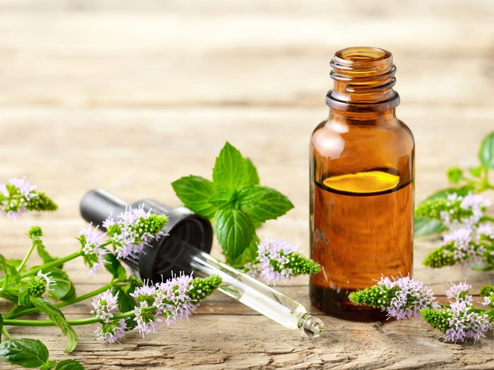 The use of essential oils in makeup for bug control