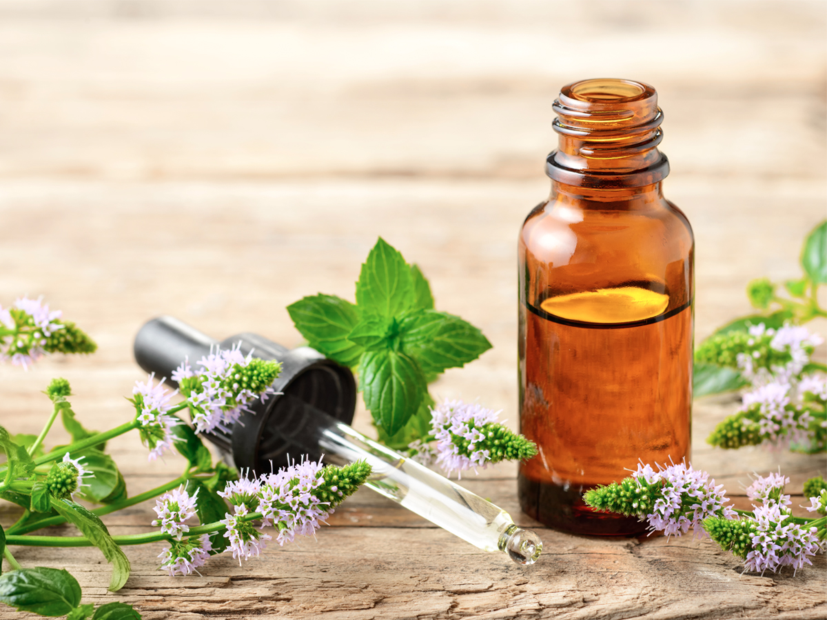 Essential insects oils repel