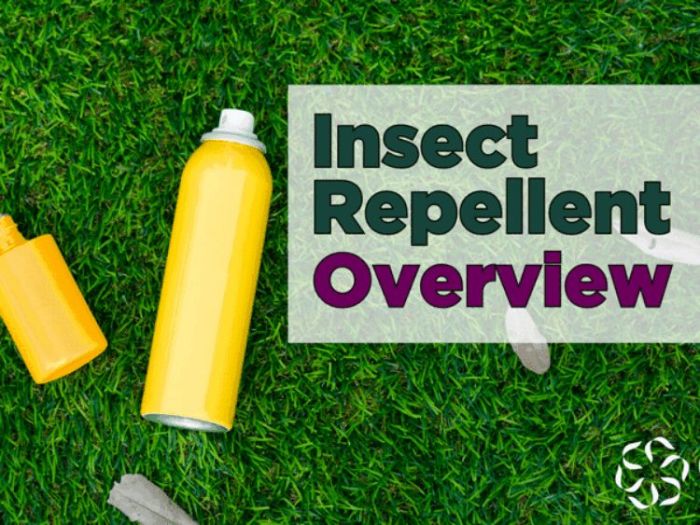 Insect repellents present past future