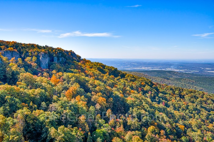 Hubert engle mountain view ar