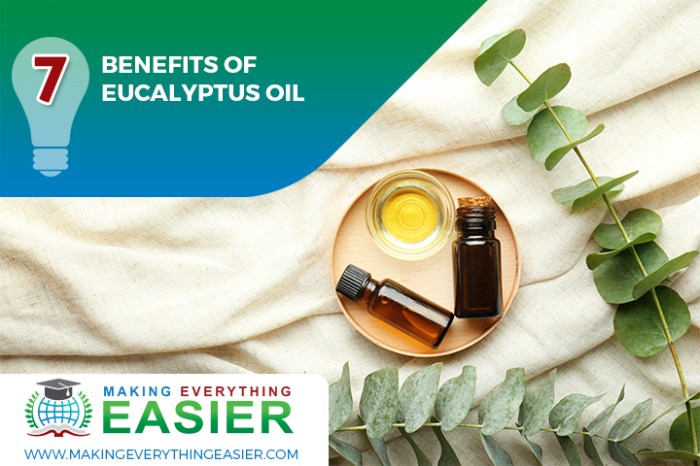 The effectiveness of eucalyptus oil