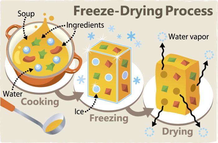 Freeze Drying Candy: A Food Preservation Technique