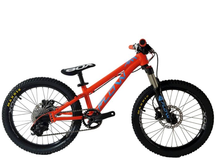 Mountain bikes for kids