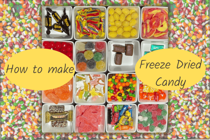 Freeze Dried Candy: A Delicious and Unique Treat