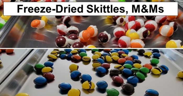 Freeze Drying Skittles