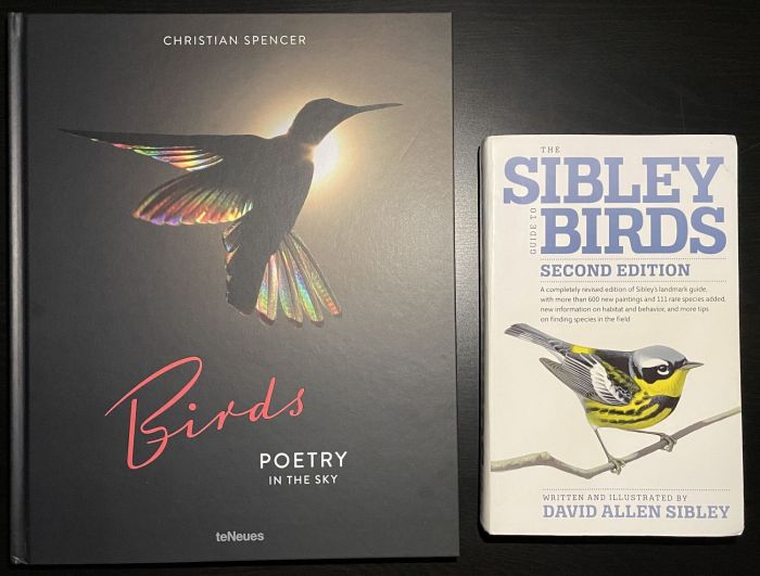 Birds in Poetry: A Springtime Collection