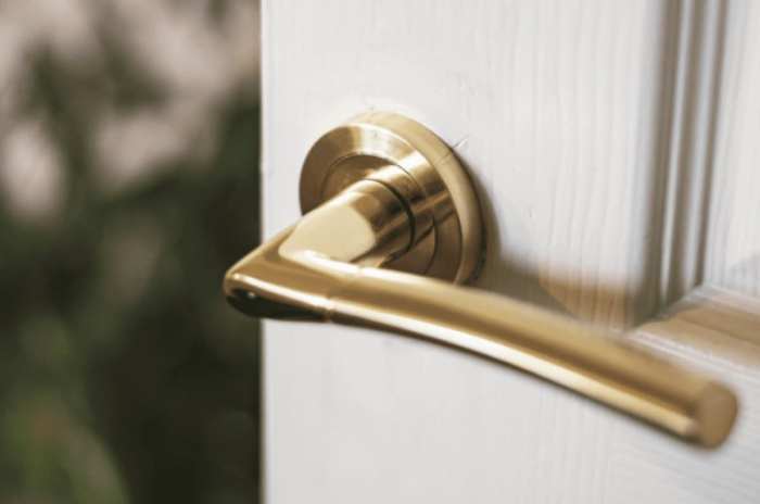 Entry door grab handle