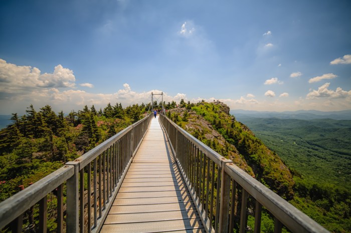 Grandfather mountain camera