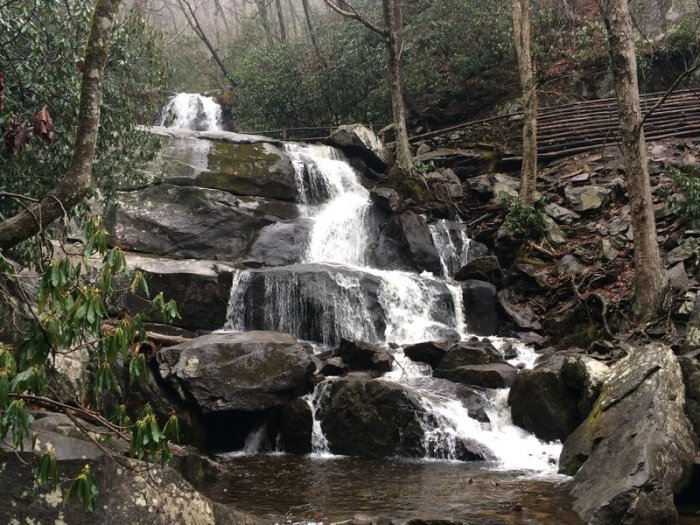 Cove mountain trail trailhead