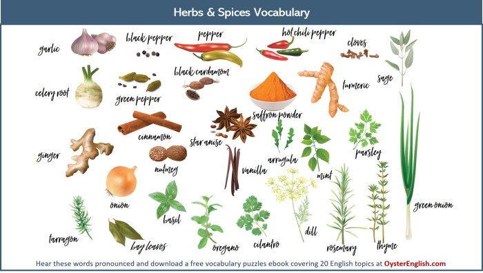 Herbs and spices with repellent qualities